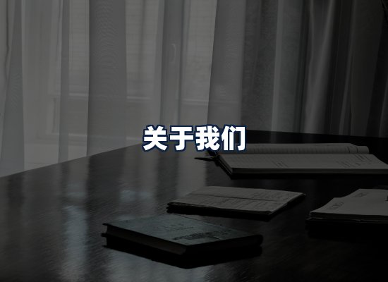 关于我们